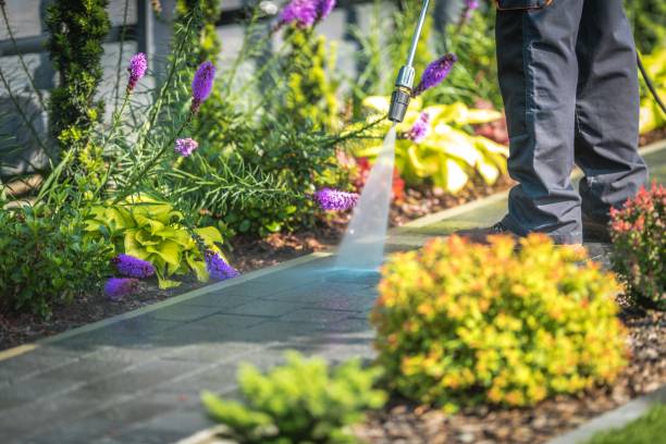 Best Parking Lot and Garage Cleaning  in Auburn, NY