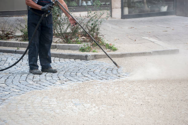 Best Building Exterior Washing  in Auburn, NY